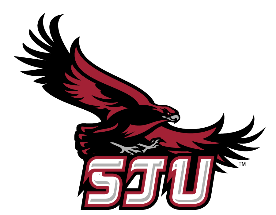 St. Joseph's Hawks 2002-2007 Secondary Logo v3 diy iron on heat transfer
